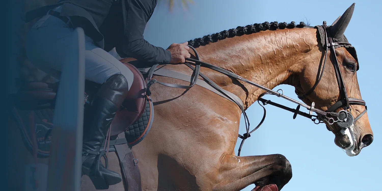 Leasing von Nutz- und Sporttieren mit der HW Leasing GmbH. Sieben Standorte deutschlandweit.