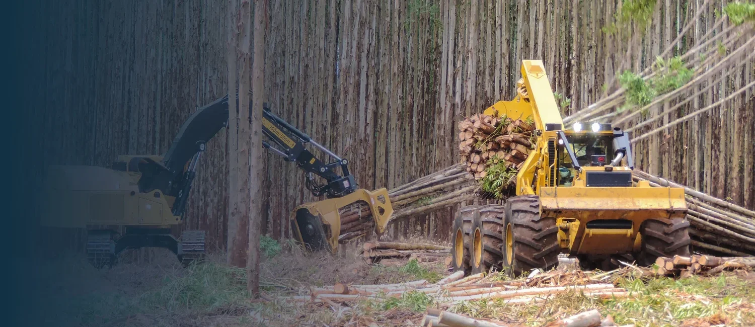 Skidderleasing für die Forstwirtschaft mit der HW Leasing GmbH.