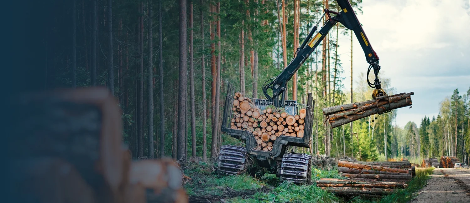 Leasing von Rückezügen für die Forstbewirtschaftung, HW Leasing GmbH