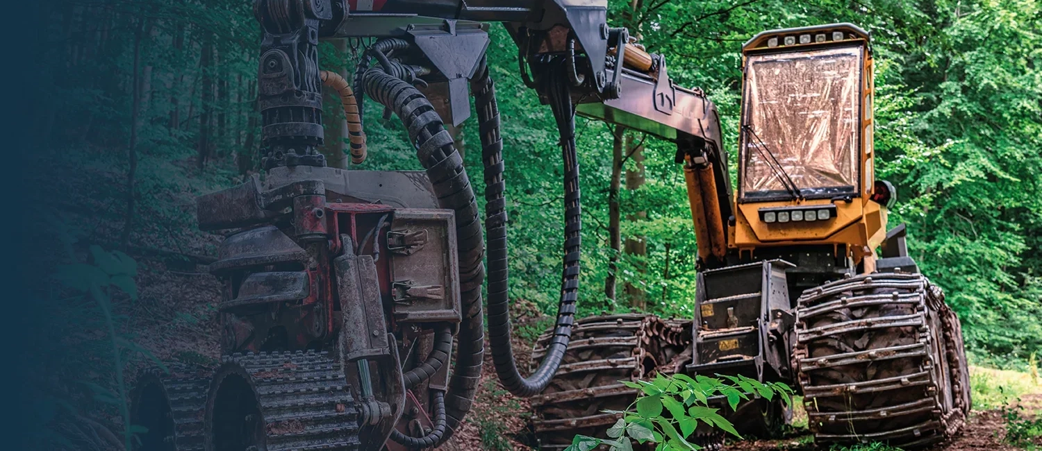 Finanzierung von Forsttechnik für einen gesunden Wald. Mit der HW Leasing GmbH seit 1992.